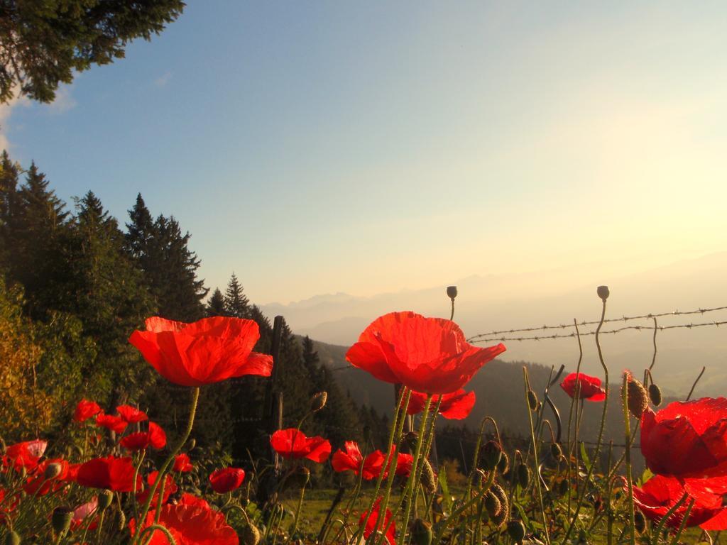 Hotel Garni Gaestehaus Karin Sankt Stefan im Lavanttal ภายนอก รูปภาพ