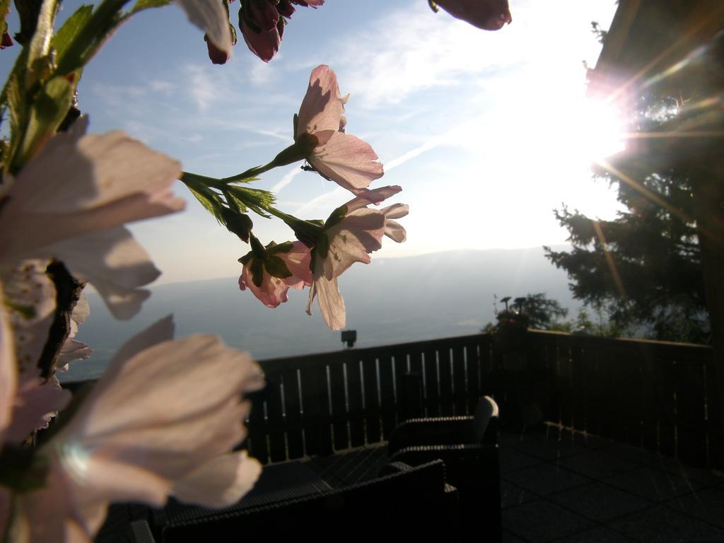 Hotel Garni Gaestehaus Karin Sankt Stefan im Lavanttal ภายนอก รูปภาพ