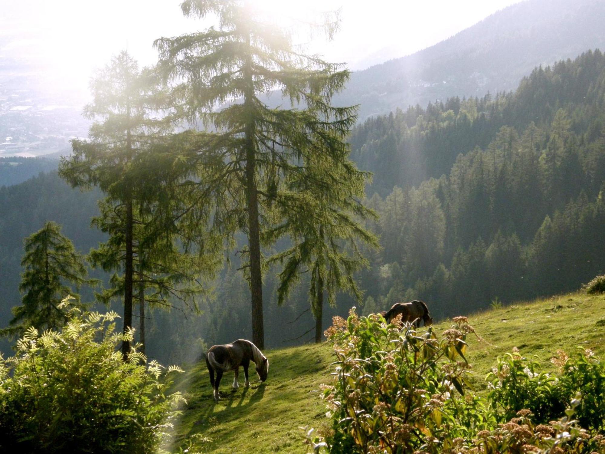Hotel Garni Gaestehaus Karin Sankt Stefan im Lavanttal ภายนอก รูปภาพ
