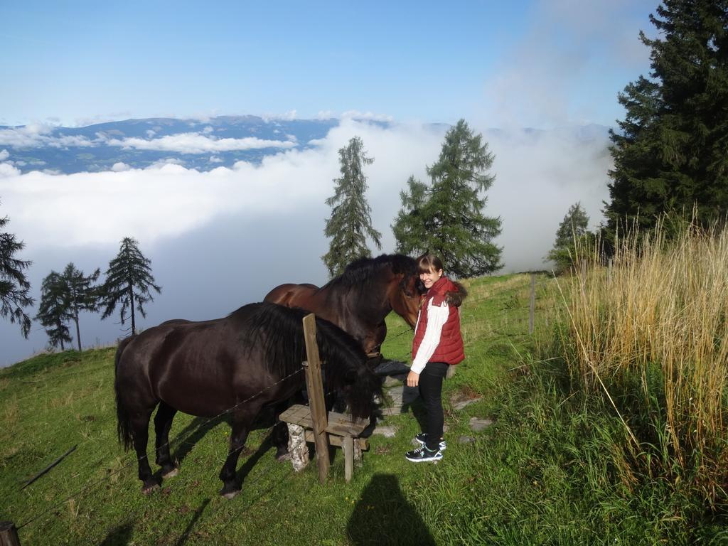 Hotel Garni Gaestehaus Karin Sankt Stefan im Lavanttal ภายนอก รูปภาพ