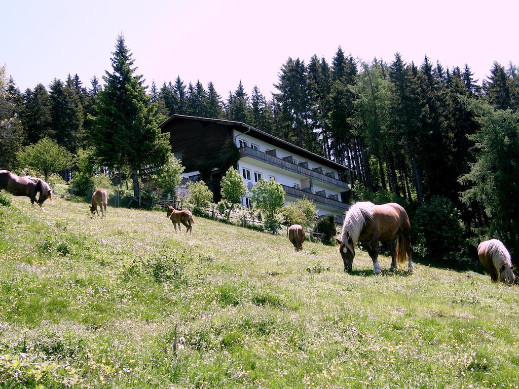 Hotel Garni Gaestehaus Karin Sankt Stefan im Lavanttal ภายนอก รูปภาพ