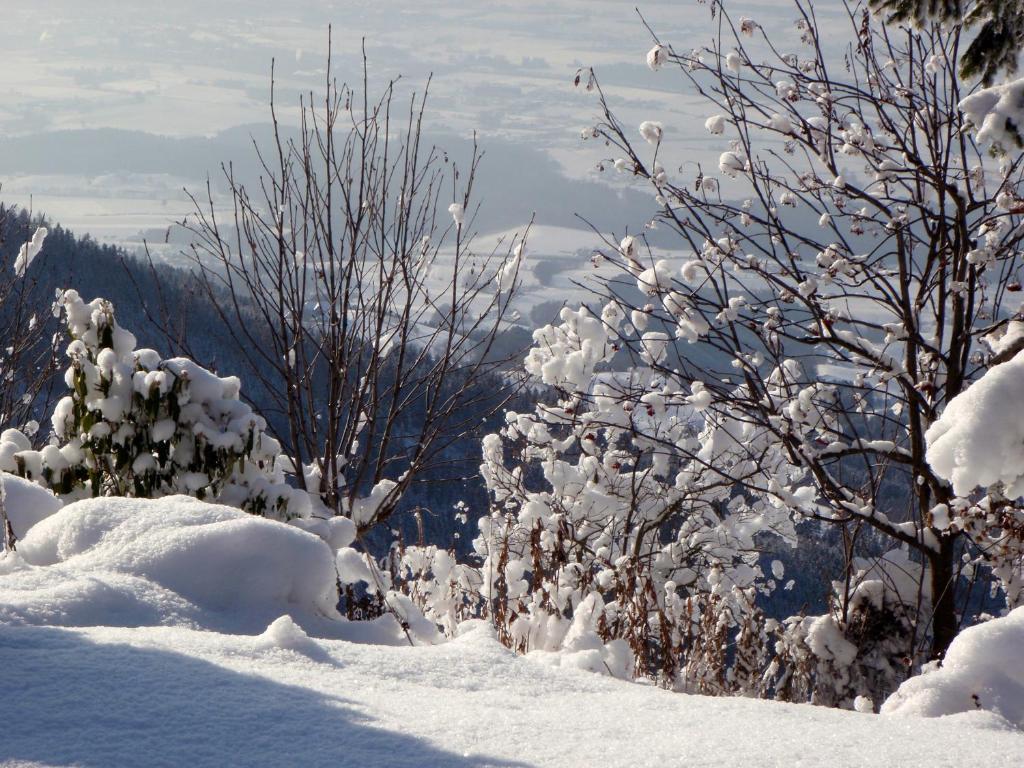 Hotel Garni Gaestehaus Karin Sankt Stefan im Lavanttal ภายนอก รูปภาพ